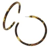 Tortoise Hoops|Susan Shaw Best