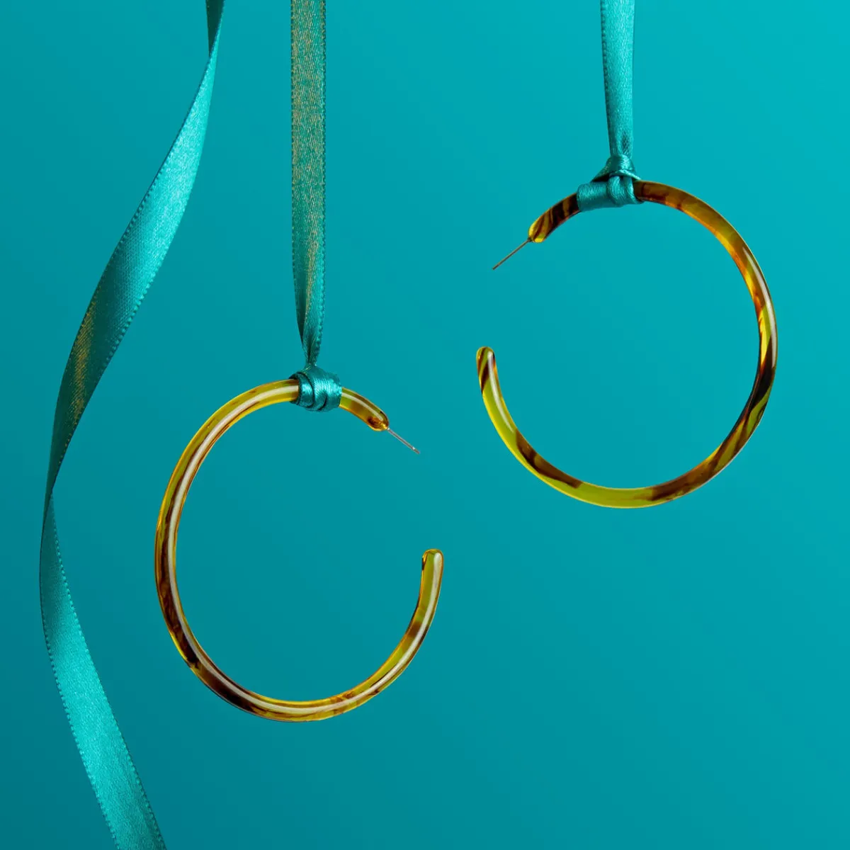 Tortoise Hoops|Susan Shaw Best