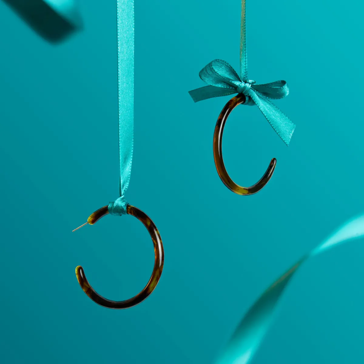 Tortoise Hoops|Susan Shaw Best