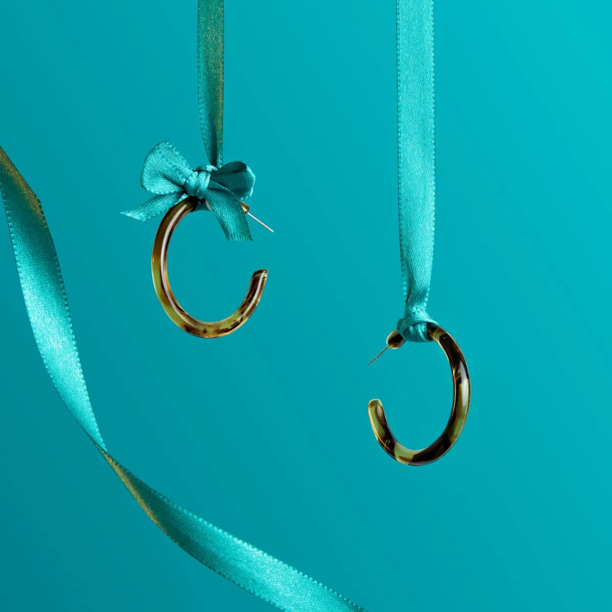 Tortoise Hoops|Susan Shaw Best